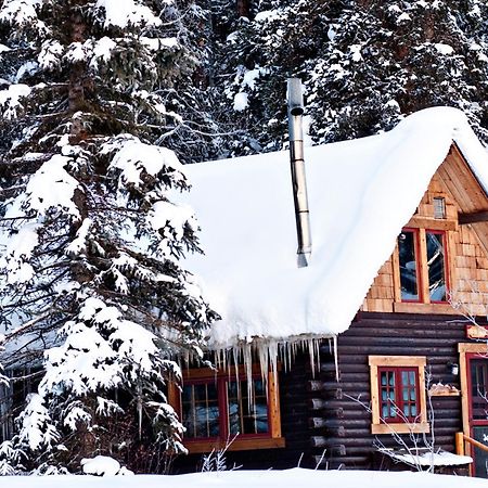 Pioneer Guest Cabins Crested Butte Luaran gambar
