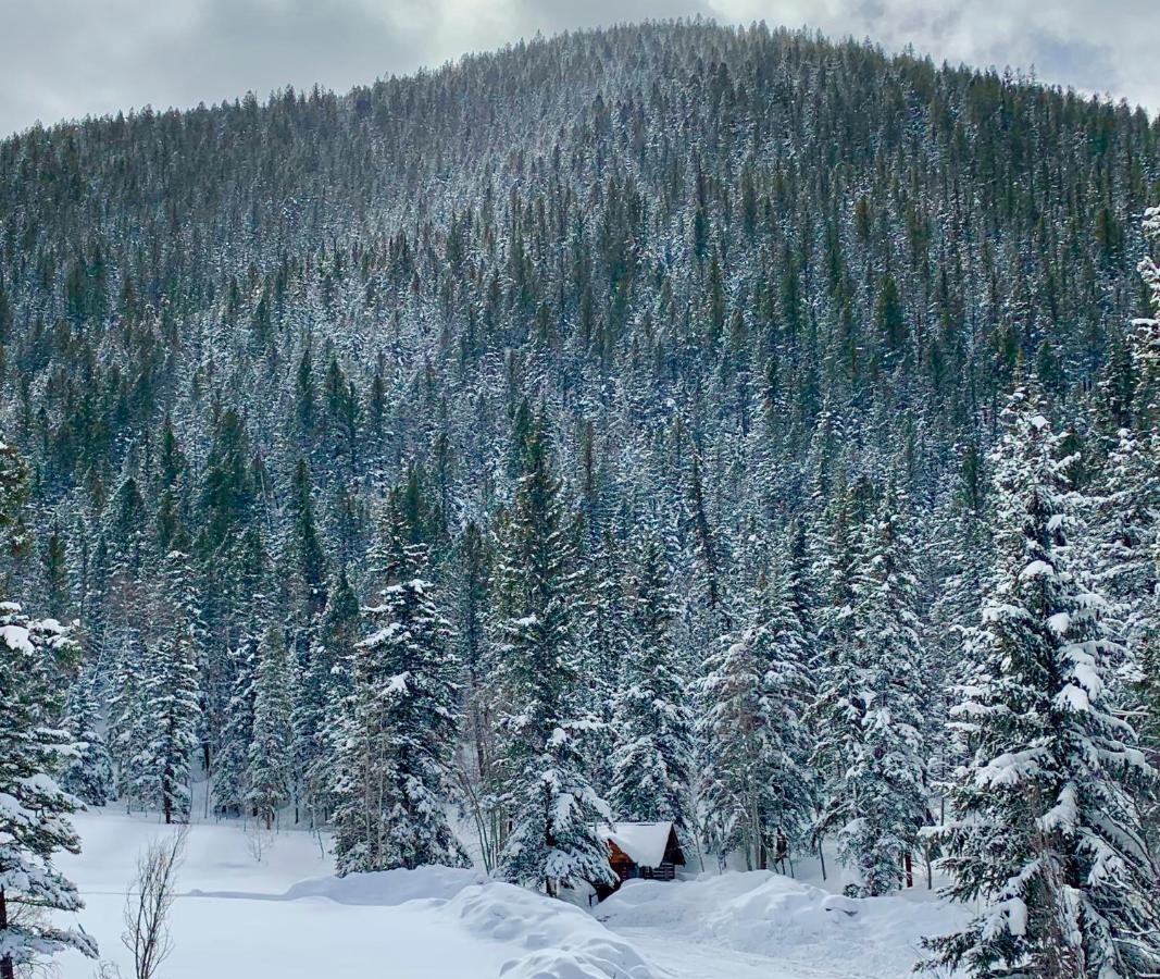 Pioneer Guest Cabins Crested Butte Luaran gambar