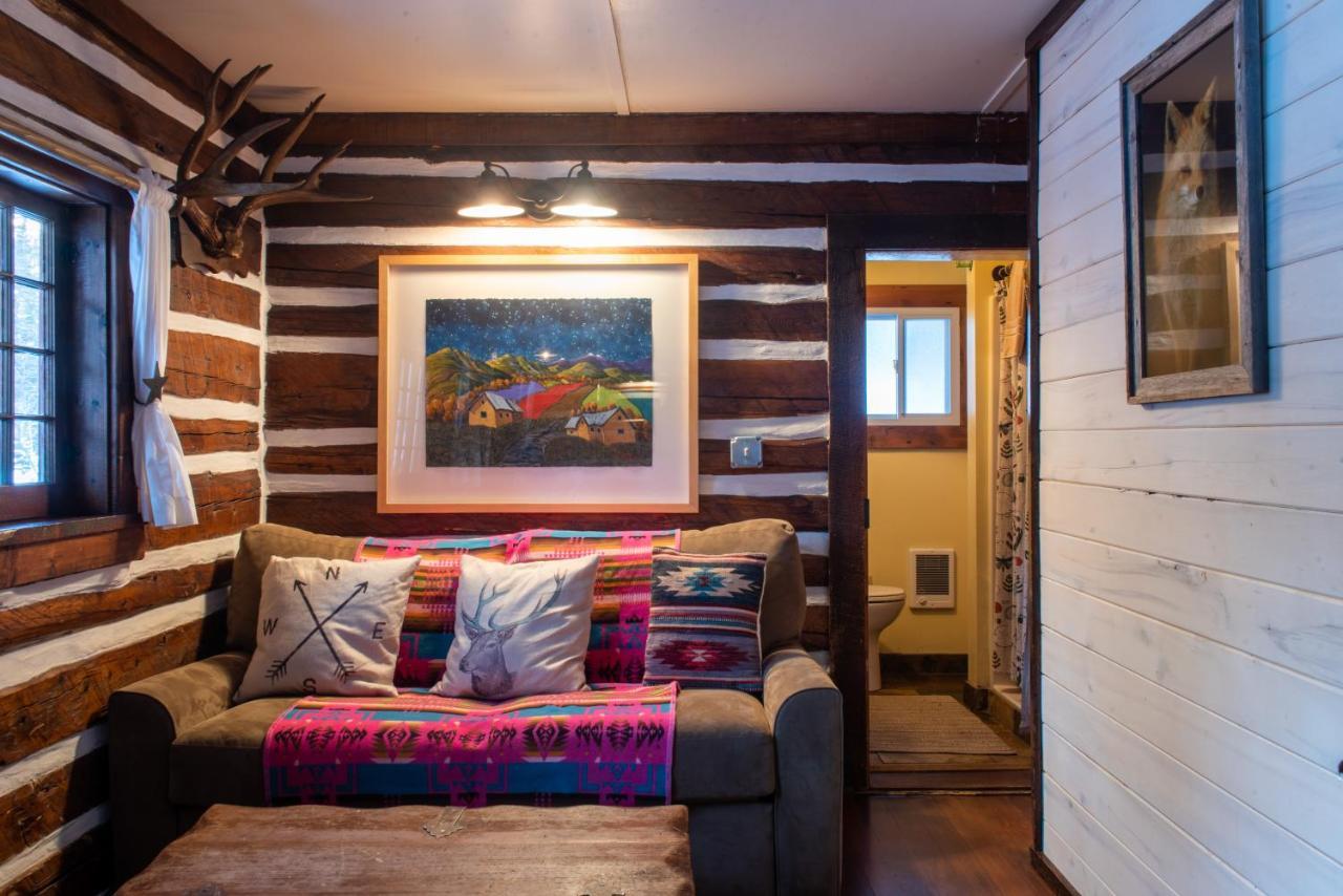 Pioneer Guest Cabins Crested Butte Luaran gambar