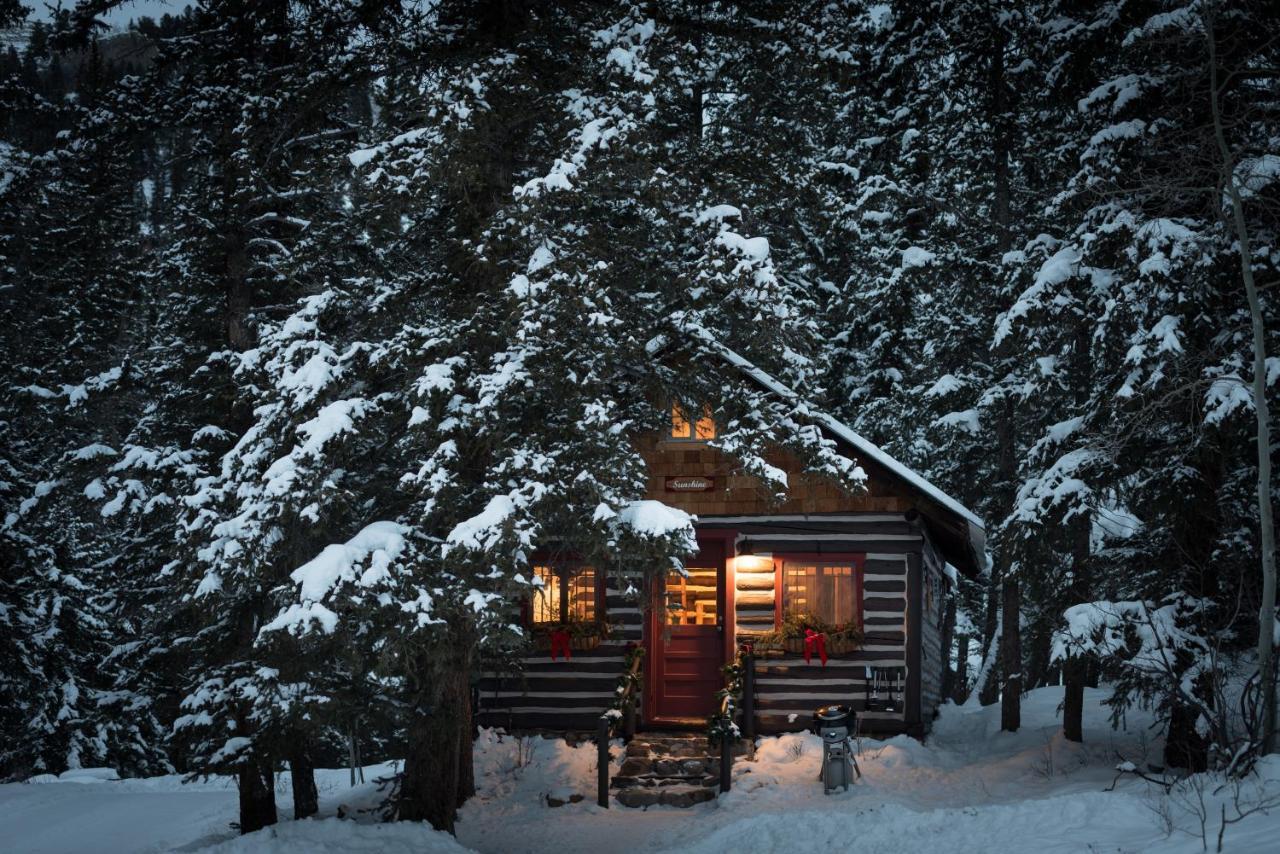 Pioneer Guest Cabins Crested Butte Luaran gambar