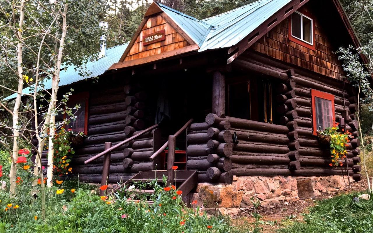 Pioneer Guest Cabins Crested Butte Luaran gambar
