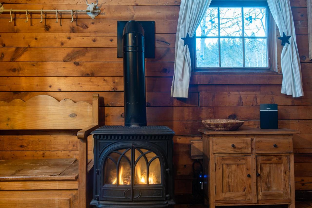 Pioneer Guest Cabins Crested Butte Luaran gambar