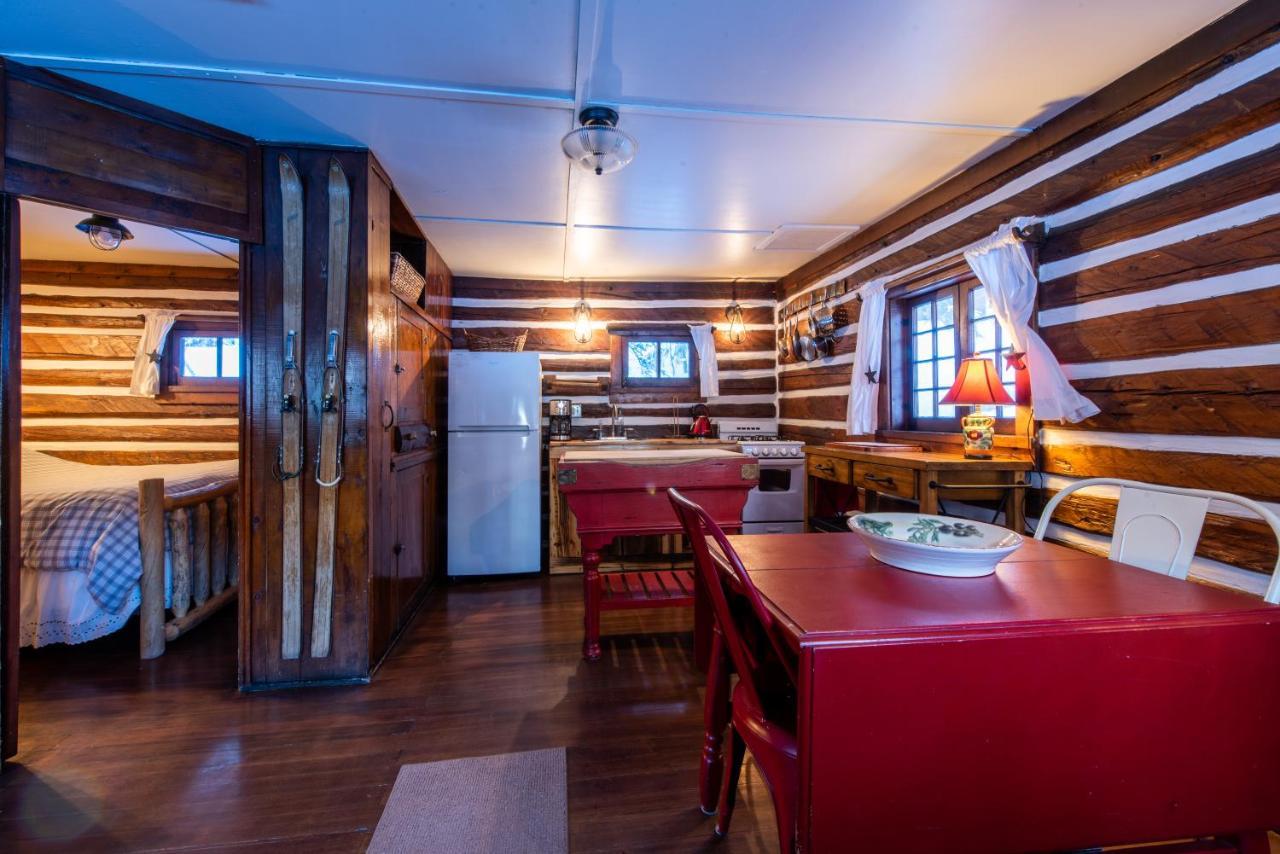 Pioneer Guest Cabins Crested Butte Luaran gambar